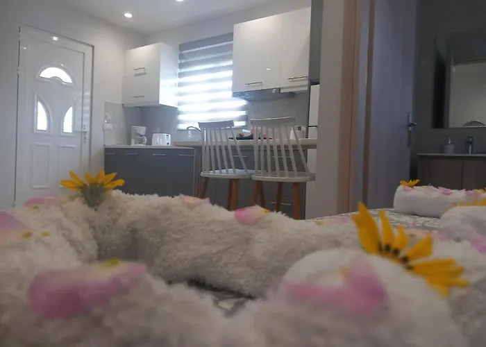 Apartament Summer Holidays