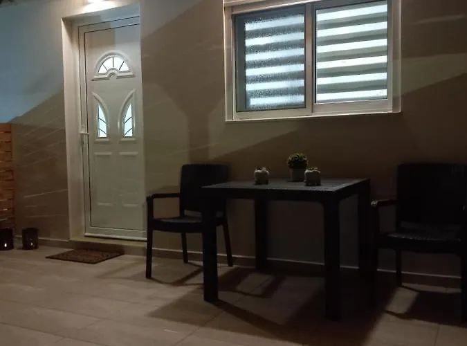 Summer Holidays 콜림비아